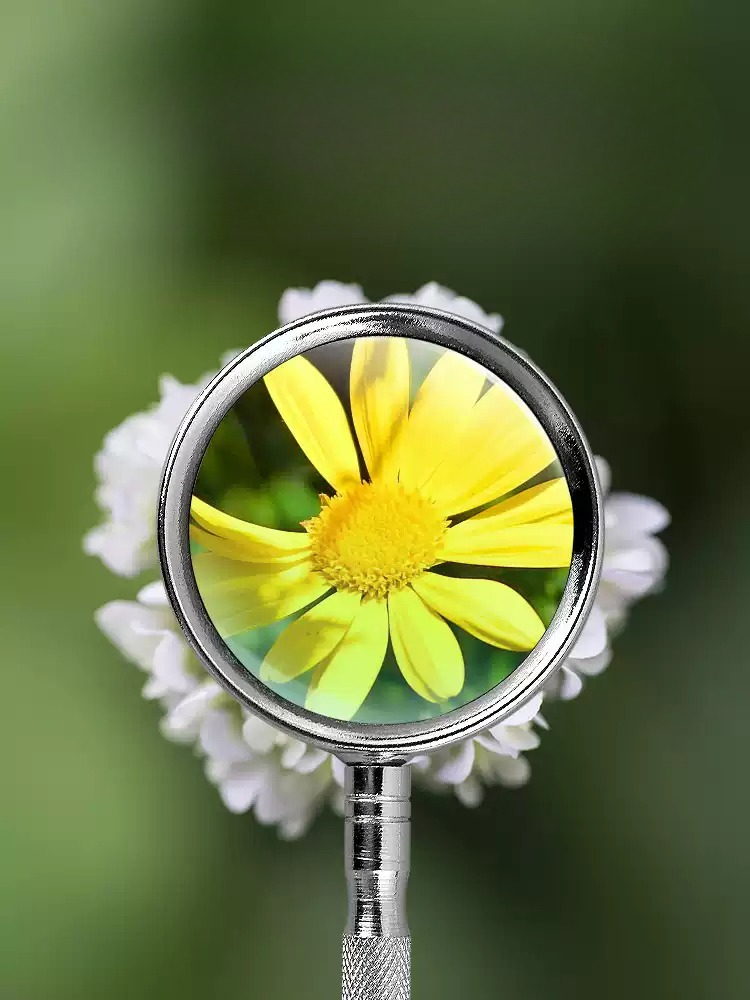 10X 20X Handheld Magnifying Gl - đánh giá và giá Science And Hobby