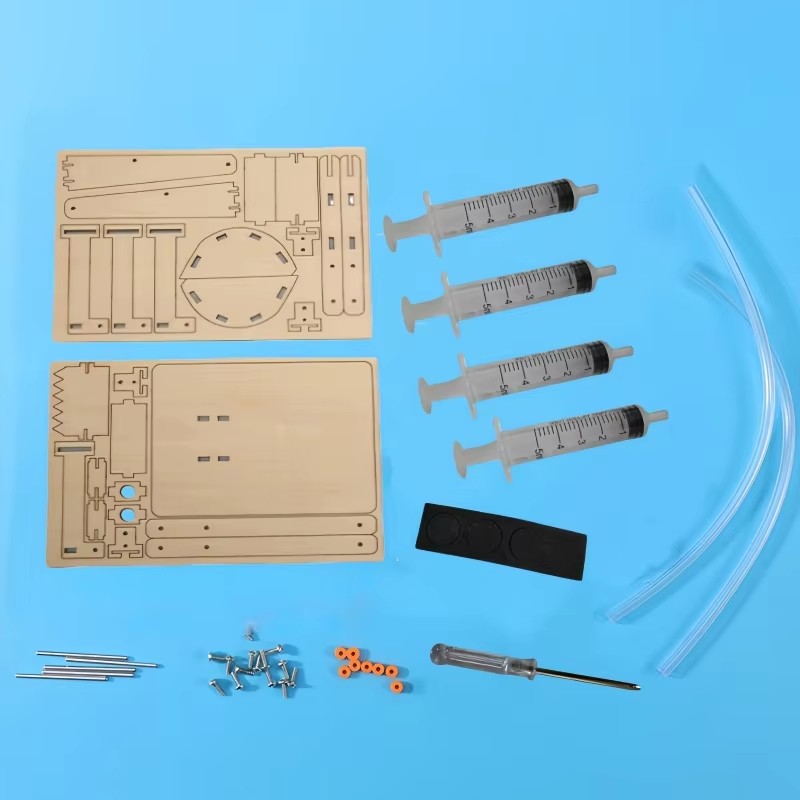 Fun STEM DIY Science Kit Woode - đánh giá và giá Science And Hobby